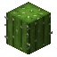 Cacto