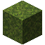 Bloco de Musgo