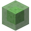 Bloco de Slime (vanilla)