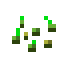 Sementes de Trigo