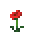 Flor (qualquer)